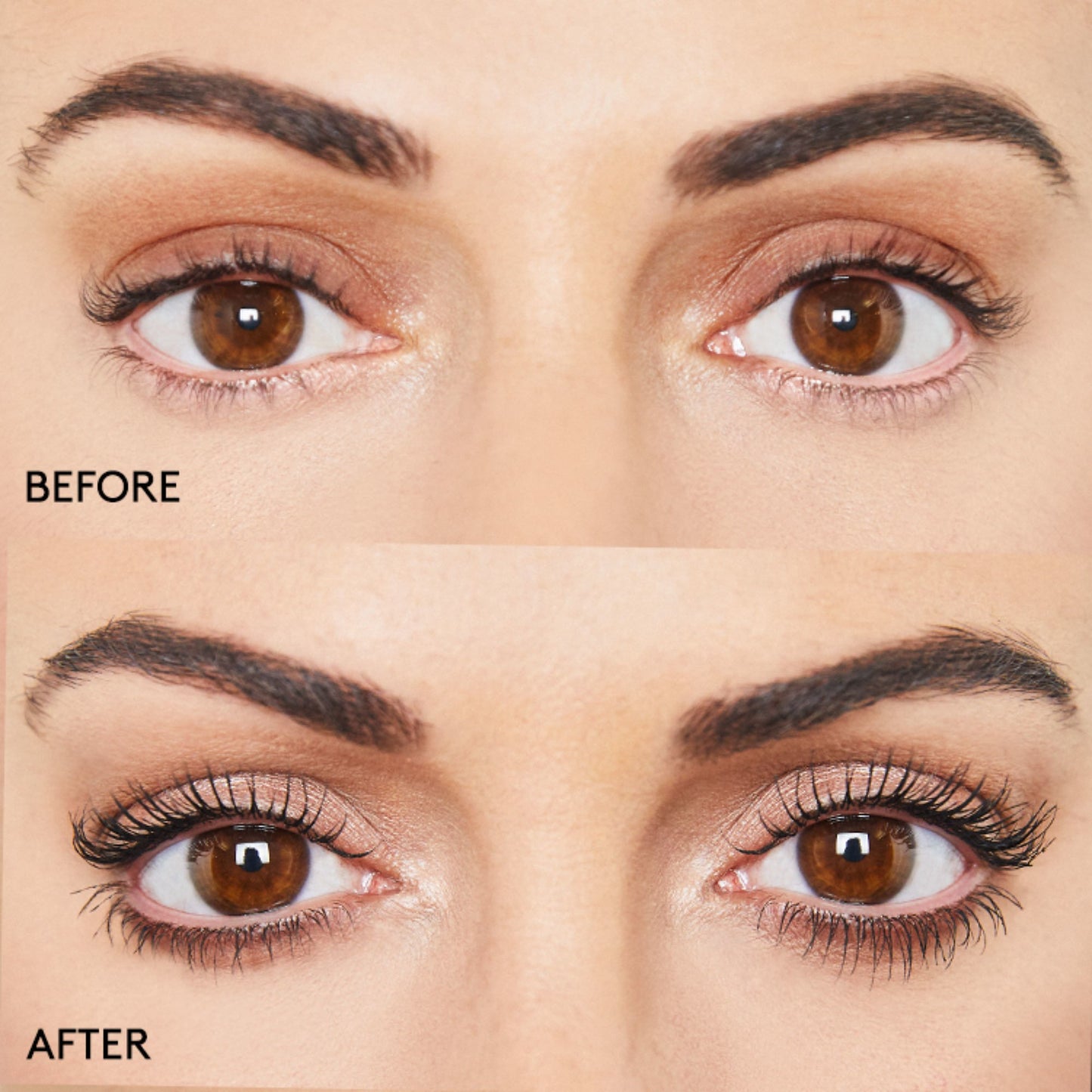 PHOERA 9D High Definition Mascara